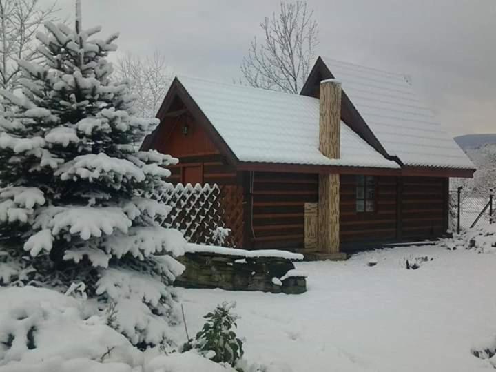 Agroturystyka W Ogrodach ซาน็อค ภายนอก รูปภาพ