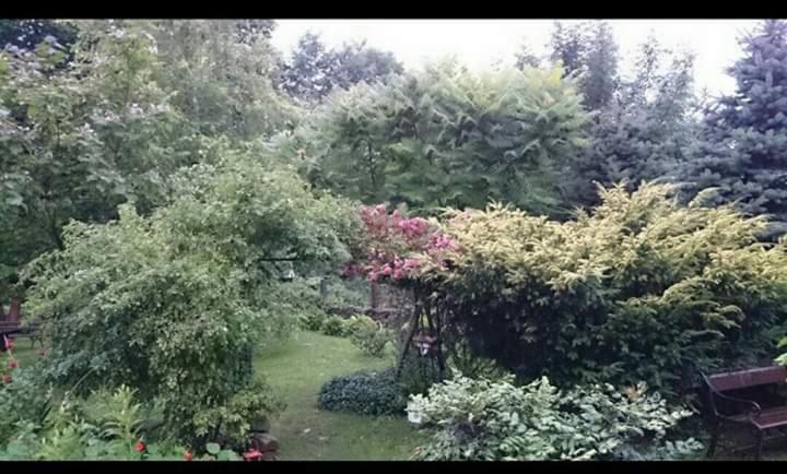 Agroturystyka W Ogrodach ซาน็อค ภายนอก รูปภาพ