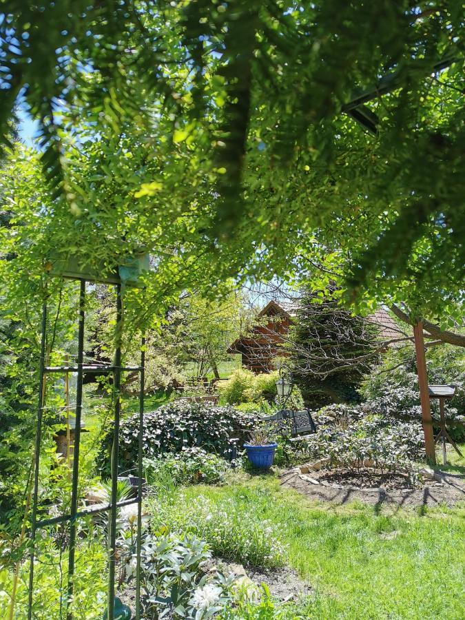Agroturystyka W Ogrodach ซาน็อค ภายนอก รูปภาพ