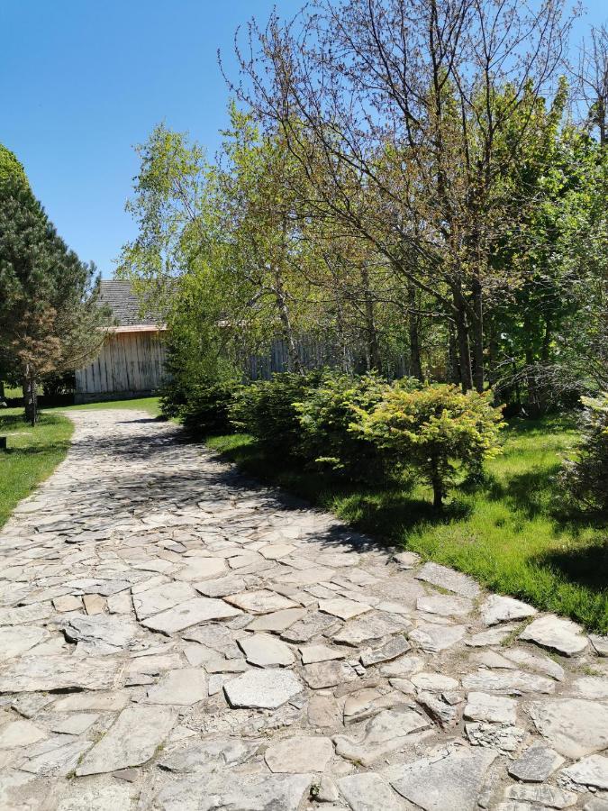 Agroturystyka W Ogrodach ซาน็อค ภายนอก รูปภาพ